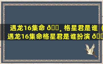 遇龙16集命 🕸 格星君是谁（遇龙16集命格星君是谁扮演 🌿 的）